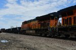 BNSF 3904 Roster shot